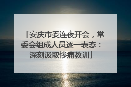 安庆市委连夜开会，常委会组成人员逐一表态：深刻汲取惨痛教训