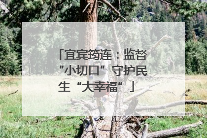 宜宾筠连：监督“小切口”守护民生“大幸福”