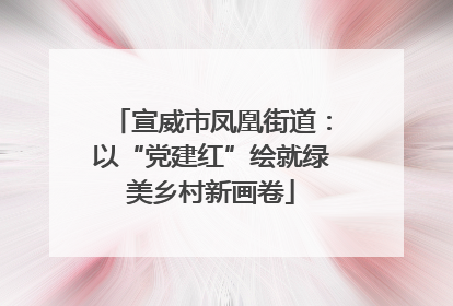 宣威市凤凰街道：以“党建红”绘就绿美乡村新画卷