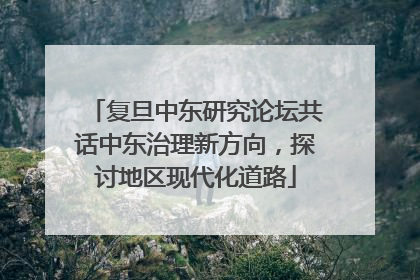 复旦中东研究论坛共话中东治理新方向，探讨地区现代化道路