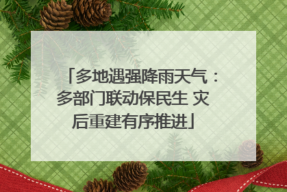 多地遇强降雨天气：多部门联动保民生 灾后重建有序推进