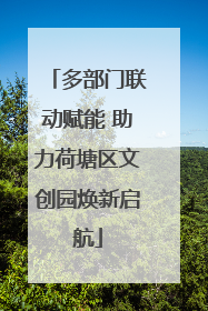多部门联动赋能 助力荷塘区文创园焕新启航