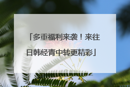多重福利来袭！来往日韩经青中转更精彩