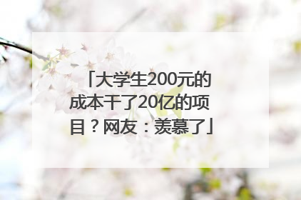 大学生200元的成本干了20亿的项目？网友：羡慕了