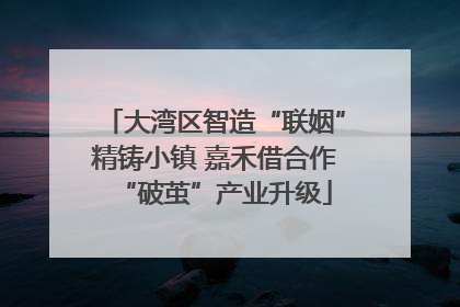 大湾区智造“联姻”精铸小镇 嘉禾借合作“破茧”产业升级
