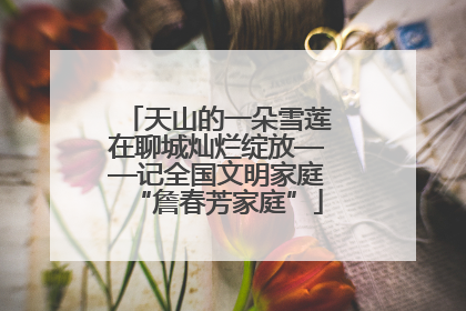 天山的一朵雪莲在聊城灿烂绽放——记全国文明家庭“詹春芳家庭”