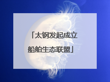 太钢发起成立船舶生态联盟