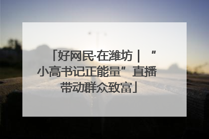 好网民·在潍坊｜“小高书记正能量”直播 带动群众致富