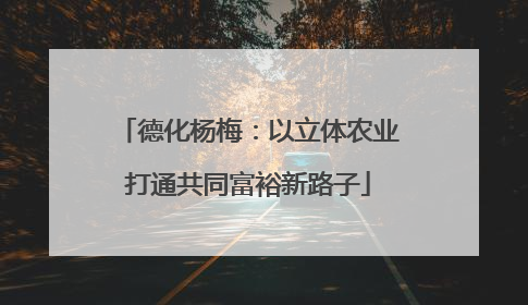 德化杨梅：以立体农业打通共同富裕新路子