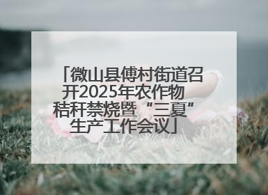 微山县傅村街道召开2025年农作物秸秆禁烧暨“三夏”生产工作会议