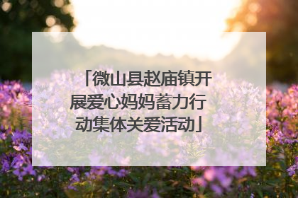 微山县赵庙镇开展爱心妈妈蓄力行动集体关爱活动