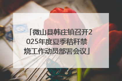 微山县韩庄镇召开2025年度夏季秸秆禁烧工作动员部署会议