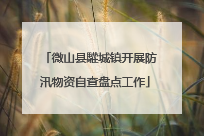 微山县驩城镇开展防汛物资自查盘点工作