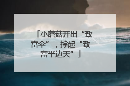 小蘑菇开出“致富伞”，撑起“致富半边天”