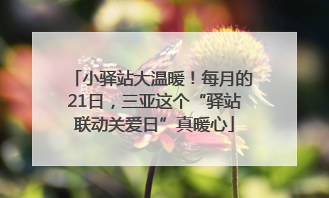 小驿站大温暖！每月的21日，三亚这个“驿站联动关爱日”真暖心