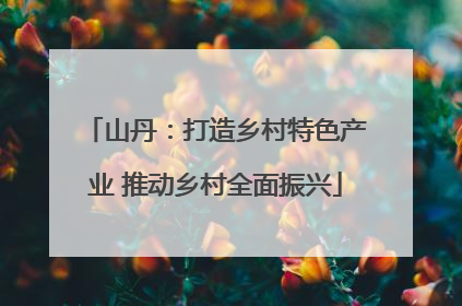 山丹：打造乡村特色产业 推动乡村全面振兴