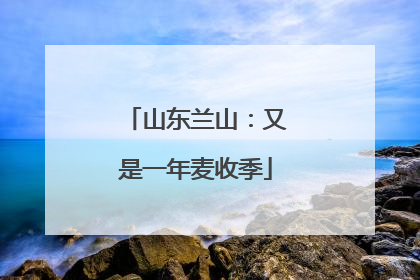 山东兰山：又是一年麦收季