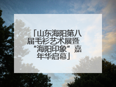 山东海阳第八届毛衫艺术展暨“海阳印象”嘉年华启幕