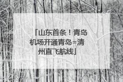 山东首条！青岛机场开通青岛=清州直飞航线