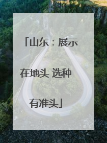 山东：展示在地头 选种有准头