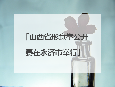 山西省形意拳公开赛在永济市举行