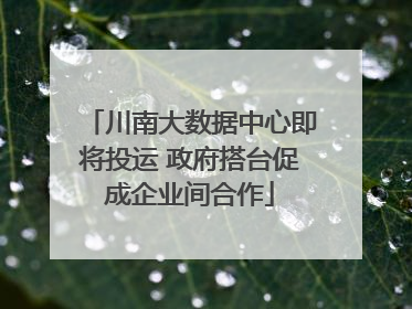 川南大数据中心即将投运 政府搭台促成企业间合作
