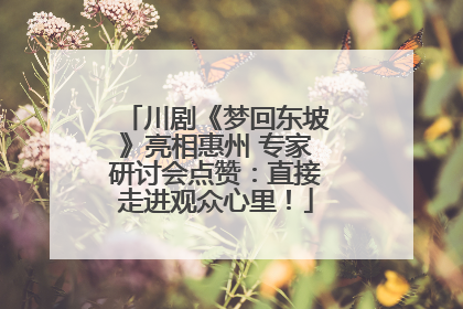川剧《梦回东坡》亮相惠州 专家研讨会点赞：直接走进观众心里！