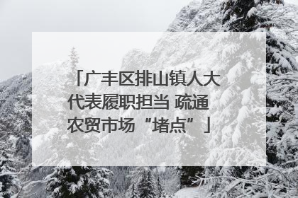 广丰区排山镇人大代表履职担当 疏通农贸市场“堵点”