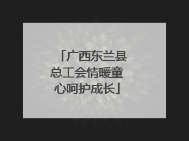 广西东兰县总工会情暖童心呵护成长