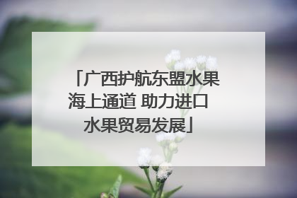 广西护航东盟水果海上通道 助力进口水果贸易发展