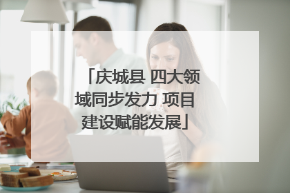 庆城县 四大领域同步发力 项目建设赋能发展