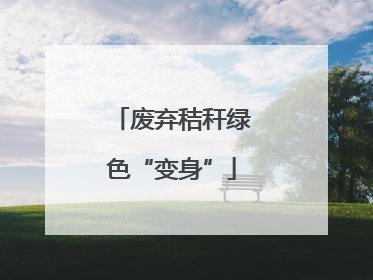 废弃秸秆绿色“变身”