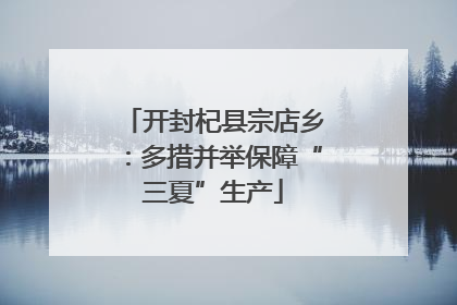 开封杞县宗店乡：多措并举保障“三夏”生产