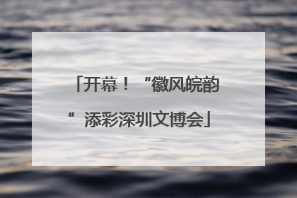 开幕！“徽风皖韵”添彩深圳文博会
