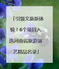 引领文旅新体验！6个项目入选河南省旅游演艺精品名录