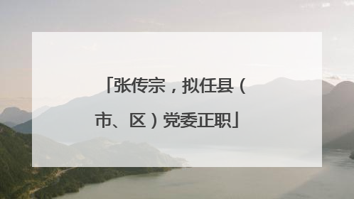 张传宗，拟任县（市、区）党委正职