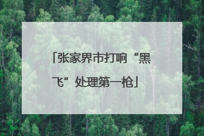 张家界市打响“黑飞”处理第一枪