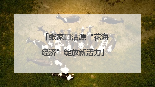 张家口沽源“花海经济”绽放新活力