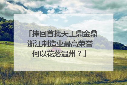 捧回首批天工鼎金鼎 浙江制造业最高荣誉何以花落温州？