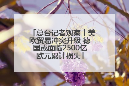 总台记者观察丨美欧贸易冲突升级 德国或面临2500亿欧元累计损失
