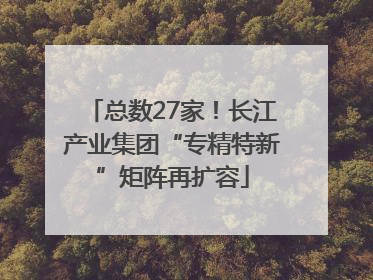 总数27家！长江产业集团“专精特新”矩阵再扩容