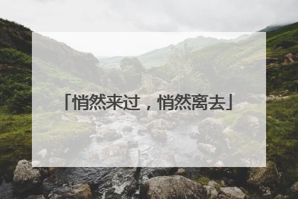 悄然来过，悄然离去