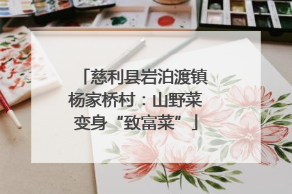慈利县岩泊渡镇杨家桥村：山野菜变身“致富菜”