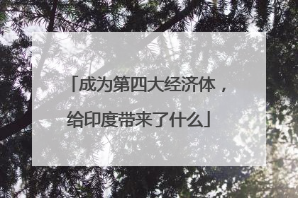 成为第四大经济体，给印度带来了什么