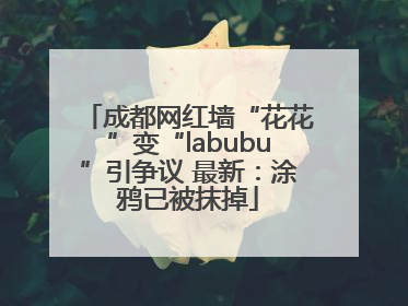 成都网红墙“花花”变“labubu”引争议 最新：涂鸦已被抹掉