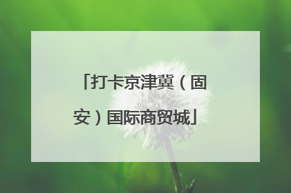 打卡京津冀（固安）国际商贸城
