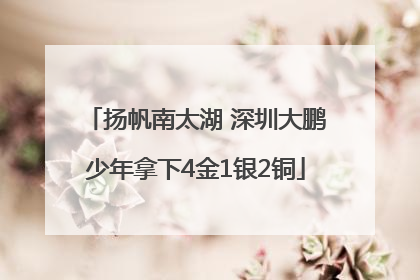 扬帆南太湖 深圳大鹏少年拿下4金1银2铜