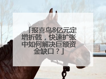 报喜鸟8亿元定增折戟，快速扩张中如何解决巨额资金缺口？