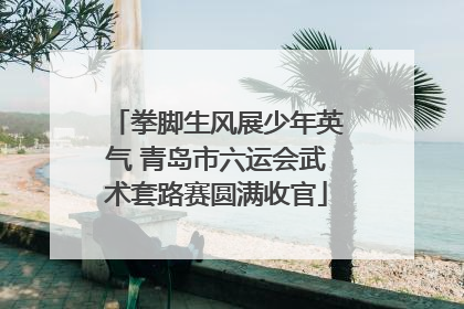 拳脚生风展少年英气 青岛市六运会武术套路赛圆满收官