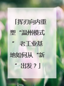 挥刃向内重塑“温州模式” 老工业基地如何从“新”出发？